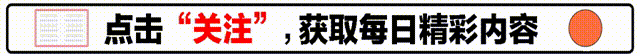 庄子：探寻无为的真谛