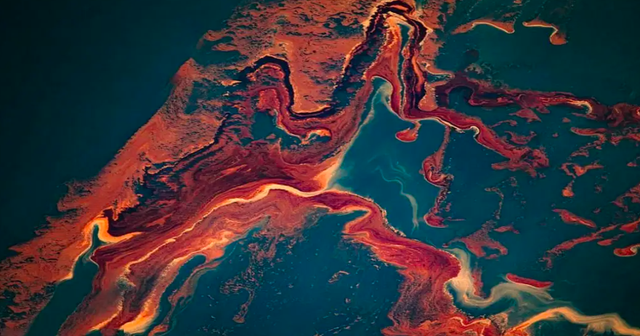 不要让海洋成为人类的"垃圾桶"例如,在此之前,日本忽视了许多国家的