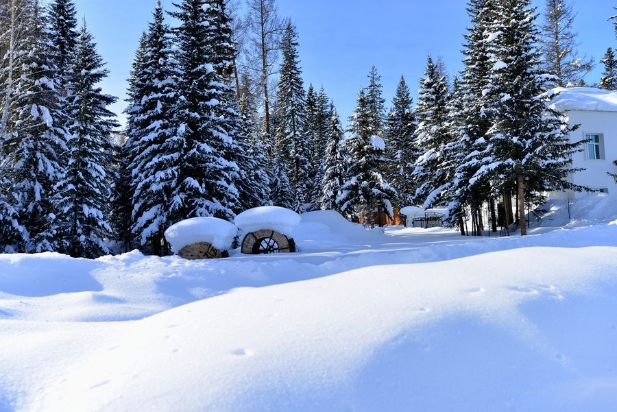 雪灾来袭如何应对？