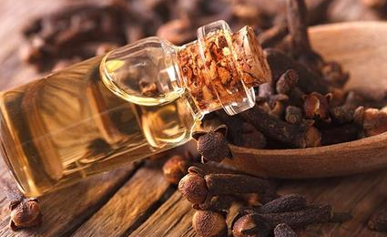 丁香油是一种很强烈的精油,它在现代有哪些功效与作用? - 我爱古诗