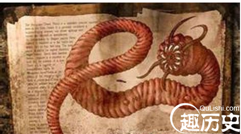 蒙古神秘“死亡之虫”真实存在吗？