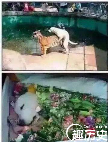 历史上古今中外这些人的装逼事，装逼有风险，且行且珍惜，附带搞笑图。