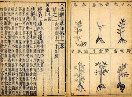明朝文化在成就上面是什么样的 以三部最代表性的科学著作就看出来了