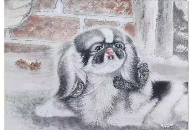 1970年的狗命运：生死天注定，福祸相依！