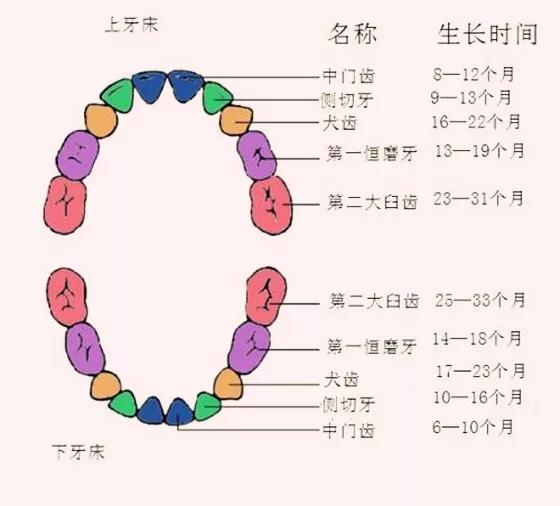 解读梦境：关于“掉牙”的梦境及其解析