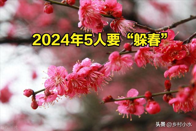 2024年是“春木青龙年”，老人说“五仁要躲春”，指的是哪五个人？