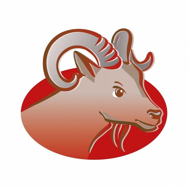 白羊座男生的特点及行为习惯