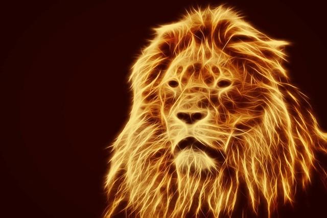 狮子座男生的十大特点：力量还是专注自我？