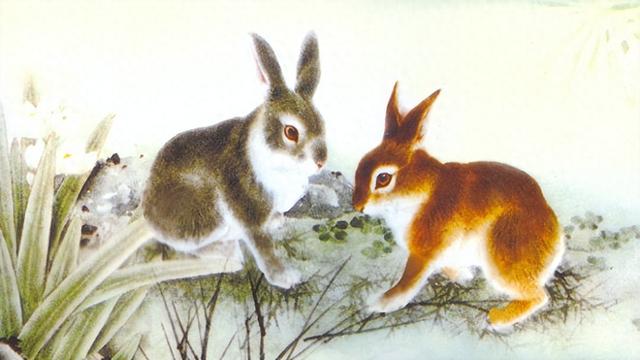 生肖兔的相克生肖以及属兔人的优缺点分析