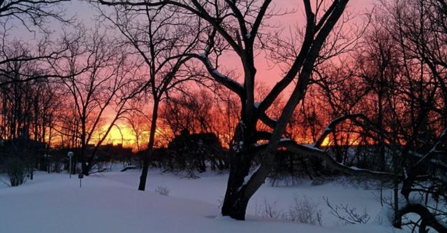 智商高却显得别扭的四个星座女