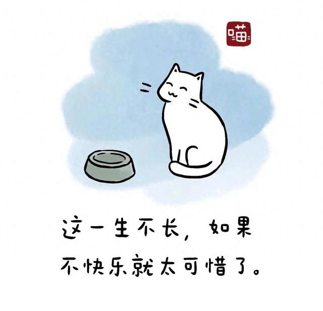 十二星座中最具气势的星座女性排行榜 ✍