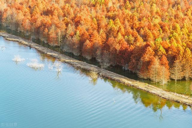 天蝎座、射手座、摩羯座分手后的反应与表现
