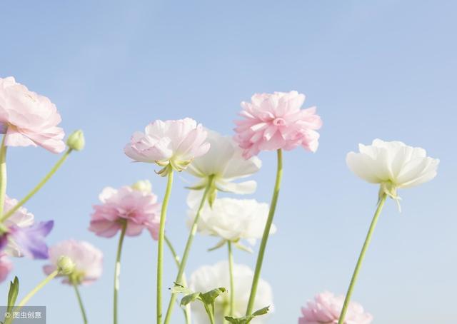 以下星座在分手后，会怀念你，思念你，但却不会主动联络你