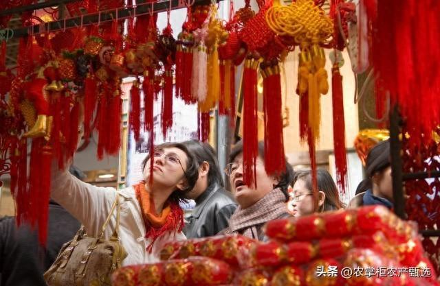 2024年木龍年:屬虎人運勢解析及影響,不容錯過!
