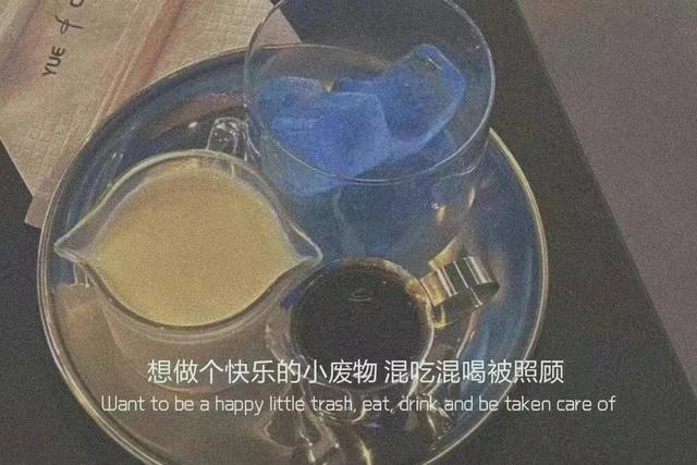 我错就错在不明不白的开始，输就输在我没想赢，只想被爱