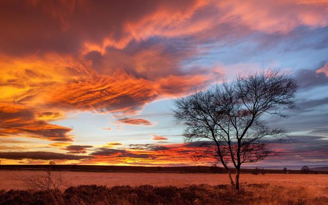 解放自己,适合自由职业的3星座,掌握自己的命运