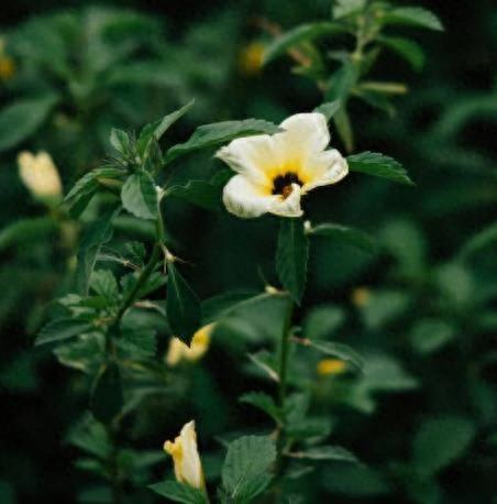 星座决定你的职场命运？一起来看看哪些职业最适合你的星座！