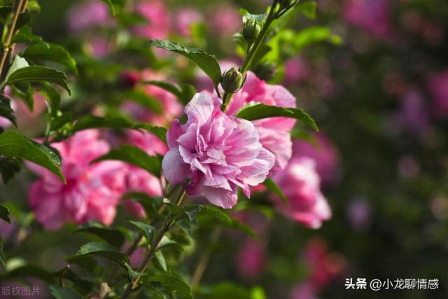 巨蟹座难以融合的三大星座,相处有难度,矛盾频发,冲突不断!