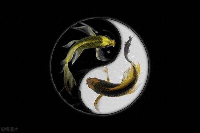 月亮星座主宰这一世的快乐-双鱼座