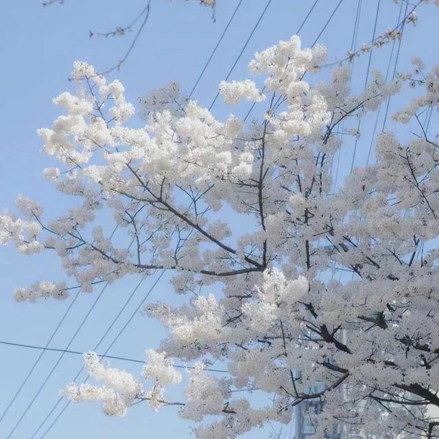 你在TA心中的地位：十二星座如何分辨备胎和真爱