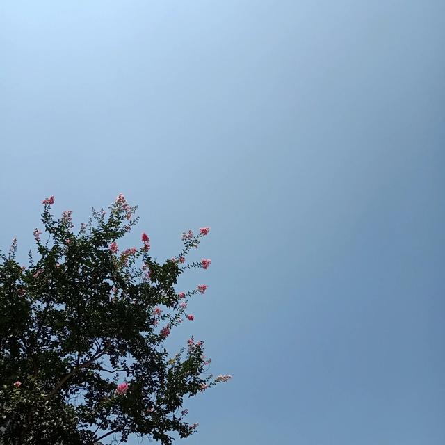 王牌狮子座最宠爱的星座是哪一个？