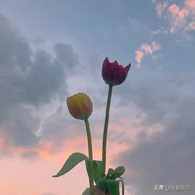 白羊座的白羊月:迎来运势变化和新机遇