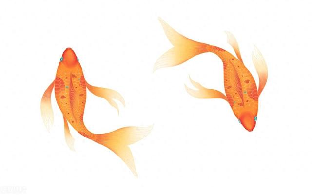 双鱼座:劫难已过,鸿运当头,下周逆风翻盘,好运即将来临!