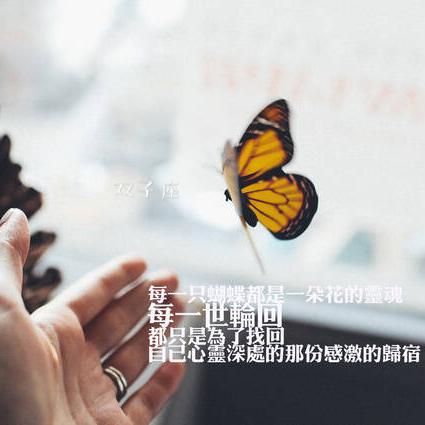 你是双子座吗？揭秘双子座人的特点