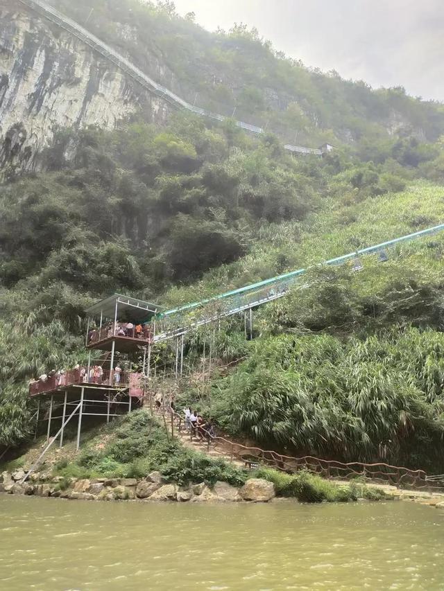 与狮子座和谐相处：揭示小细节下他们的真心