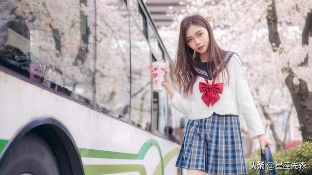 调整为：四大星座中偏向追求完美和表现轻微强迫症特质的类型