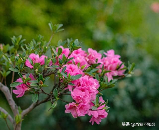 2024年，摩羯座迎来百万财富，时机已至，你准备好了吗？