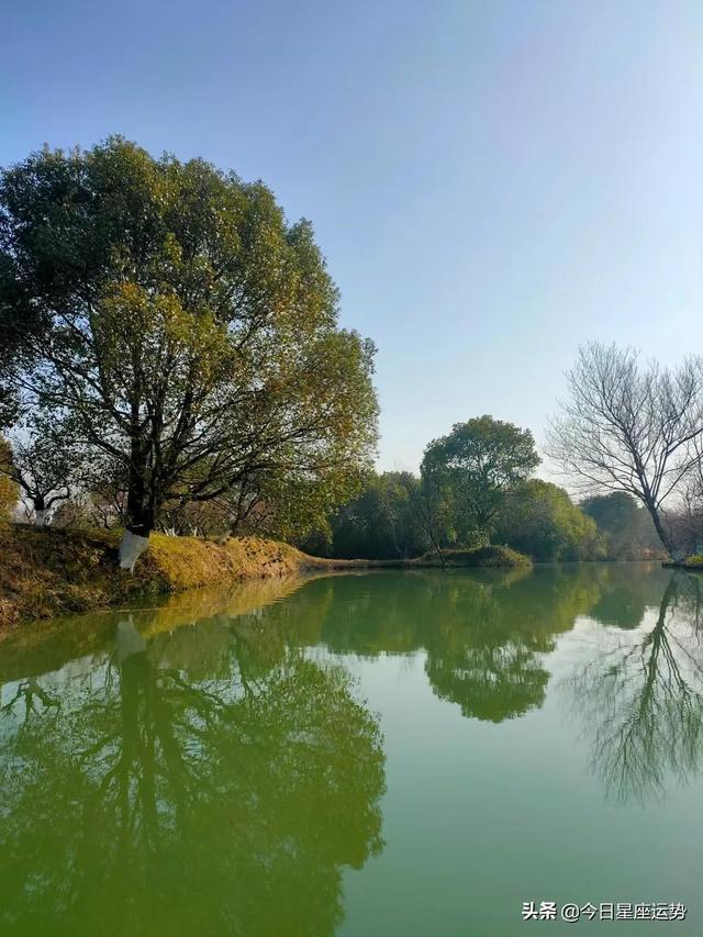 12星座夫妻最佳组合