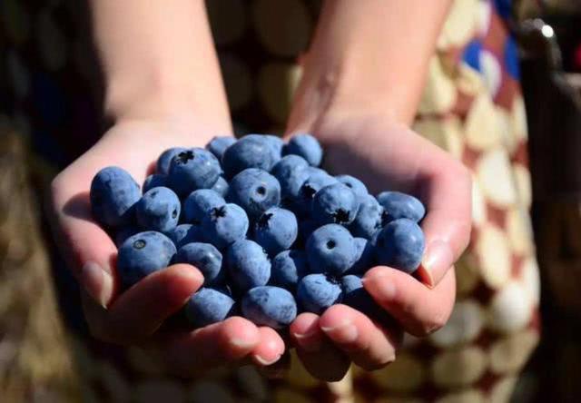 四大星座的绝对情感洁癖，对爱情的要求更苛刻！