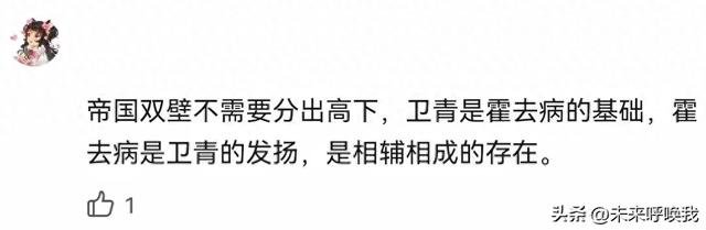 谁的历史地位更高：卫青还是霍去病？网友的独特见解让人眼前一亮