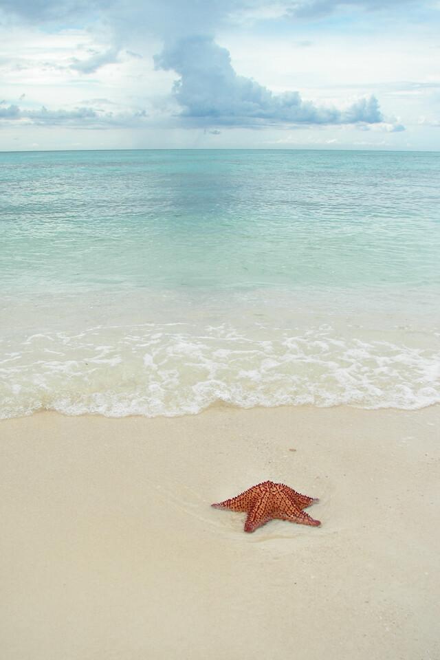 白羊座宿命挚爱：注重里子更胜面子，细腻宠爱无限