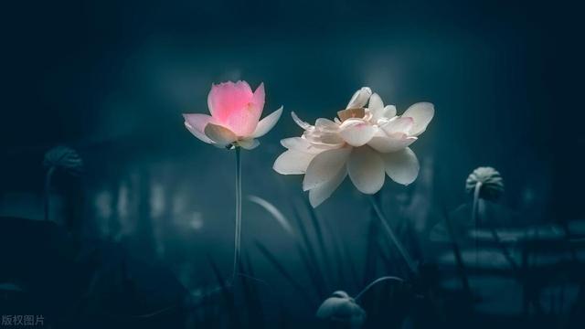 6月底好事连连,天降大喜的5大星座,财富持续增长