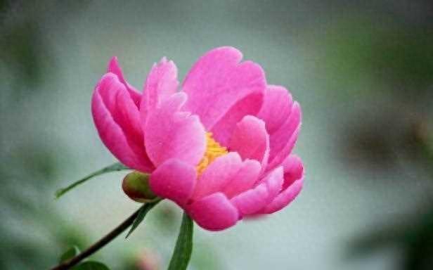 2024年，财运亨通，好事频繁，一帆风顺的4个幸运星座