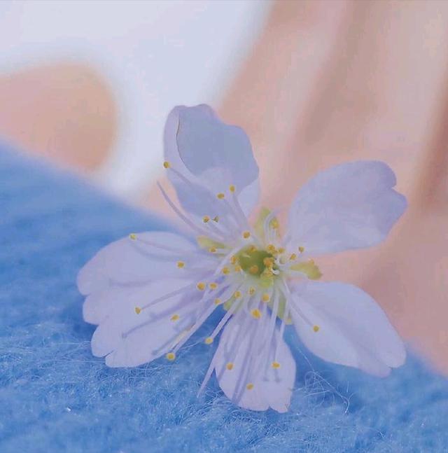 这几个星座,你以为他们只是外表看起来不好惹?事实上,他们真的不好惹!