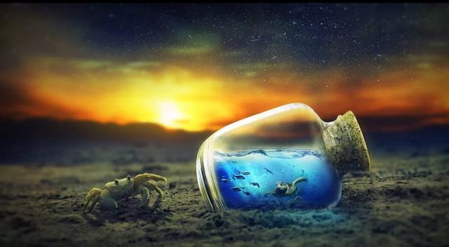 摩羯座对喜欢他们的人会表现出什么样的反应？