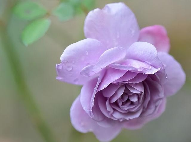 双子座难以攻克的三大星座：沉稳内敛，往往以不变应万变