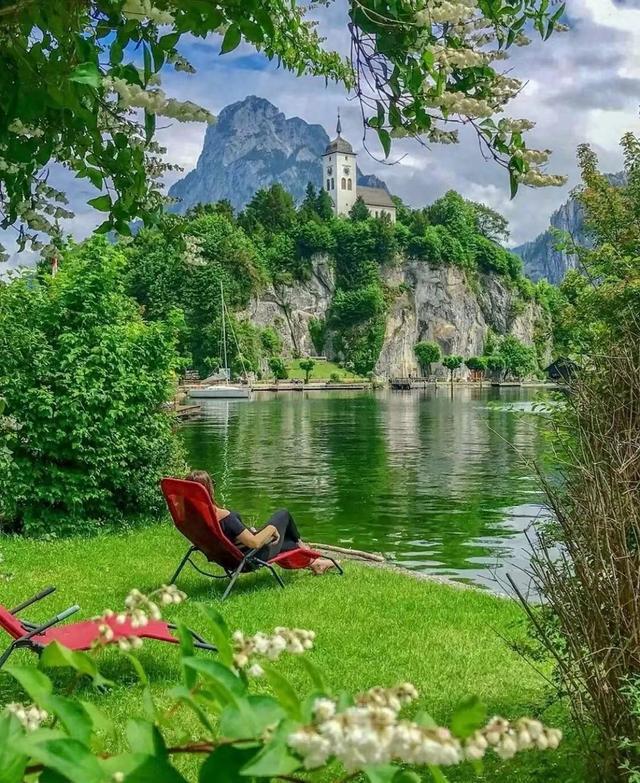 狮子座的天敌有哪些?让我们一起探讨一下