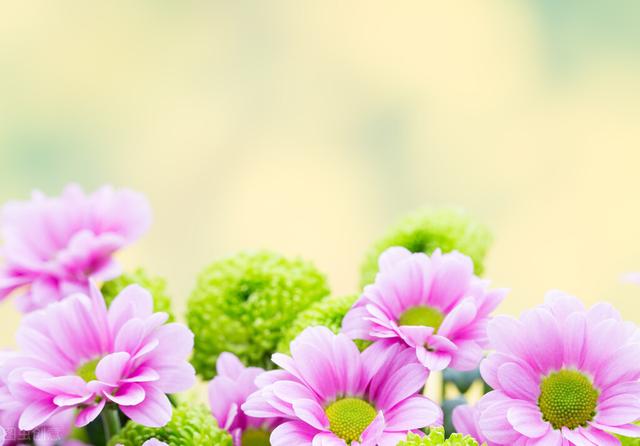 摩羯座善于掩饰，但有些情感无法假装