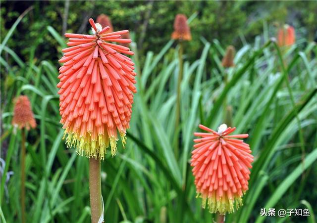 巨蟹座：在爱情的世界里，付出并非总有回报