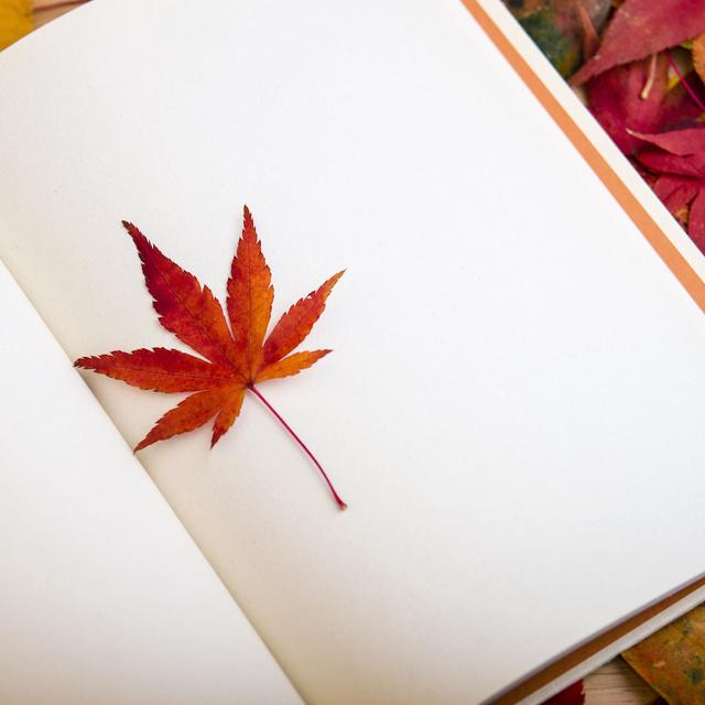 霸气十足！四大星座成绩最好，天赋绝伦，绝对学霸！