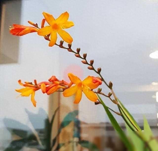 十二星座的心是如何运作的，巨蟹座的水容万物、双子座如同一盘散沙？