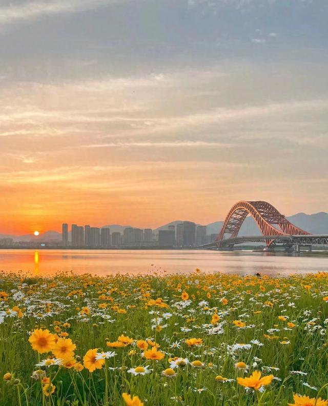 改写人生：摩羯座的终极逆袭，7天内登上人生巅峰！成为绝对赢家！