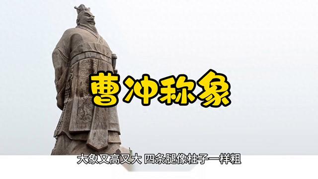 民间寓言故事：曹冲称象（上）——聪明的小孩曹冲