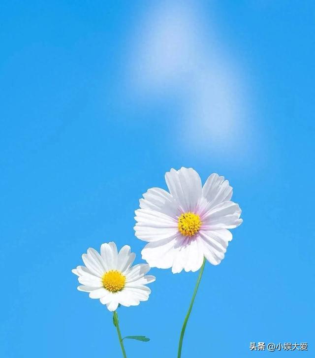 双鱼座注意！下周可能有重要事件发生，了解预警轻松应对！