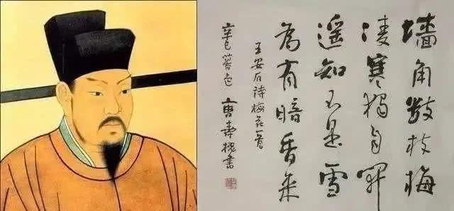 王安石的这20首诗词，看看你认识多少