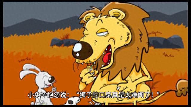 狮子的口臭问题如何解决？